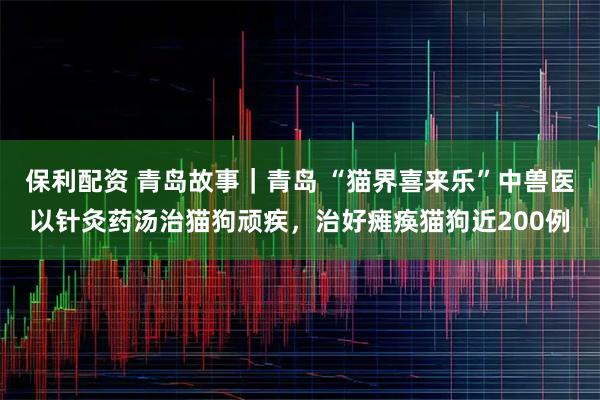 保利配资 青岛故事｜青岛 “猫界喜来乐”中兽医以针灸药汤治猫狗顽疾，治好瘫痪猫狗近200例