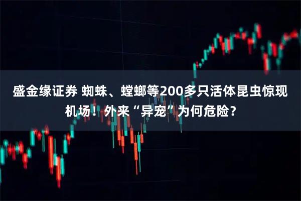盛金缘证券 蜘蛛、螳螂等200多只活体昆虫惊现机场！外来“异宠”为何危险？