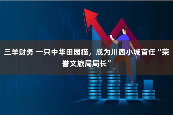 三羊财务 一只中华田园猫，成为川西小城首任“荣誉文旅局局长”