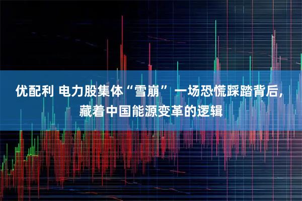 优配利 电力股集体“雪崩” 一场恐慌踩踏背后, 藏着中国能源变革的逻辑