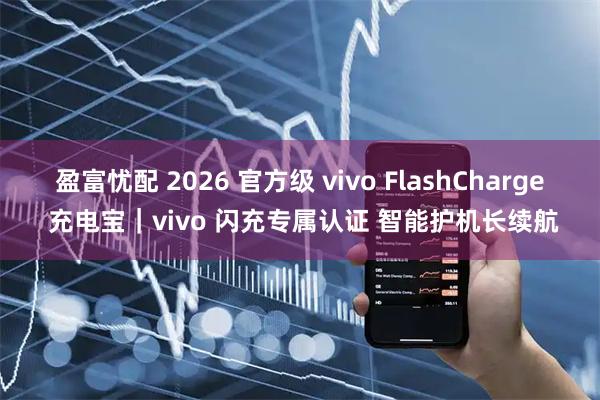 盈富忧配 2026 官方级 vivo FlashCharge 充电宝｜vivo 闪充专属认证 智能护机长续航