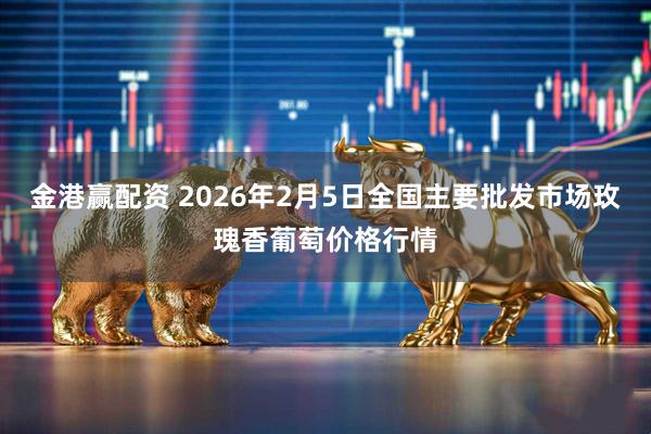 金港赢配资 2026年2月5日全国主要批发市场玫瑰香葡萄价格行情