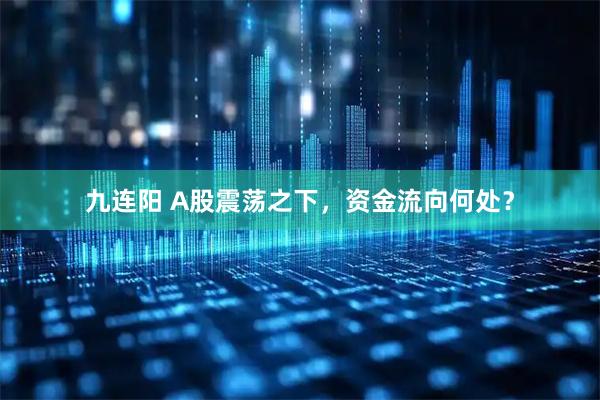 九连阳 A股震荡之下，资金流向何处？